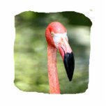Pink flamingo head photograph green background acrylic cut outs