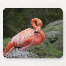 Pink Flamingo Mouse Pads