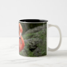 Pink Flamingo Mugs