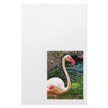 Pink Flamingo Photo Painting