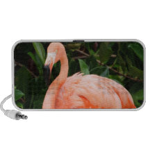Pink Flamingo Portable Speakers