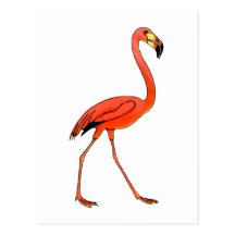 Pink Flamingo Post Card