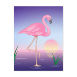 Pink Flamingo postcards