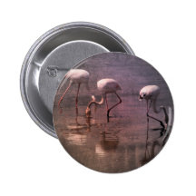 Pink Flamingo Sunrise Image