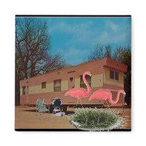 Pink Flamingos