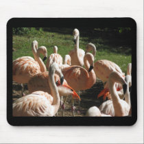 Pink Flamingos mousepads
