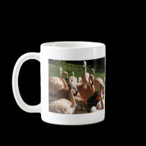 Pink Flamingos mugs