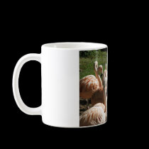 Pink Flamingos mugs