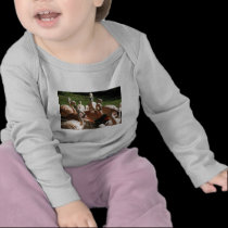 Pink Flamingos t-shirts