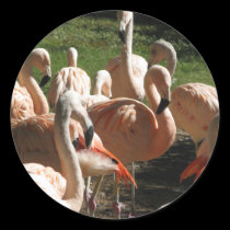 Pink Flamingos stickers