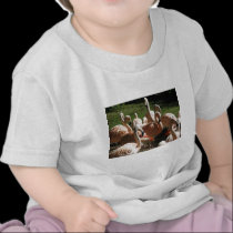 Pink Flamingos t-shirts