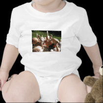 Pink Flamingos t-shirts