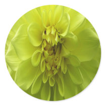 Pink Floral Arrangements Stickers