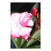 Pink flower #2, Italy Stationery Design