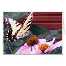 Pink Flower and Butterfly (Painted) Greeting Card