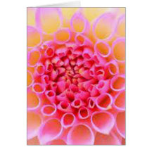 Pink flower card