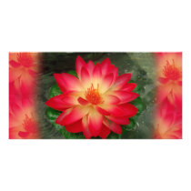 Pink Flower Card Customized Photo Card