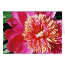 pink flower cards