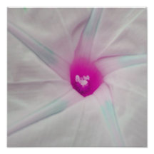Pink Flower Centre Photo Print