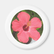 Pink Flower Fridge Magnets