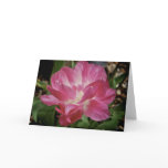 Pink Flower [Greeting Card]