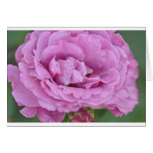 Pink Flower Greeting Cards