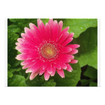 Pink Flower Invitation