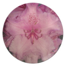 Pink Flower Plates