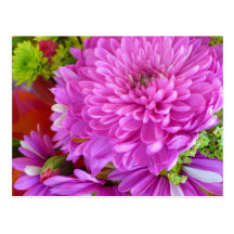 Pink flower Power Postcard