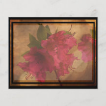 Pink Flower Recipe Card Full Colour Flyer