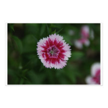 pink flower stationary stationery paper