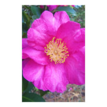 pink flower stationery paper