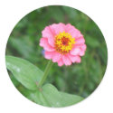 pink flower stickers