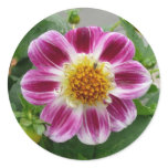 Pink flower sticker