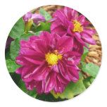 Pink flower round stickers