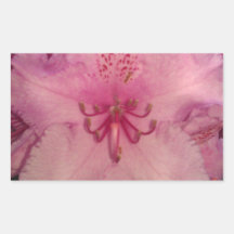 Pink Flower Sticker