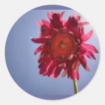 Pink Flower Stickers