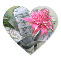 Pink Flowered Bromeliad Sticker
