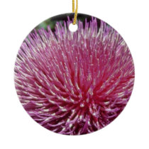 Pink Flowering artichoke (Cynara spp.) flowers Christmas Tree Ornaments
