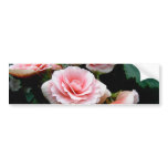 Pink Flowering Begonia Bumper Sticker