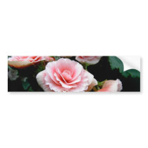 Pink Flowering Begonia Bumper Sticker
