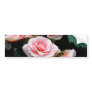 Pink Flowering Begonia Bumper Sticker