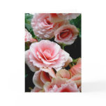Pink Flowering Begonia Greeting Card