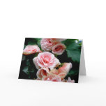 Pink Flowering Begonia Greeting Card