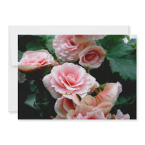 Pink Flowering Begonia Invitation