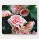 Pink Flowering Begonia Mouse Pad
