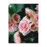 Pink Flowering Begonia Postcard