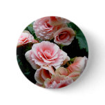 Pink Flowering Begonia Round Button