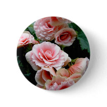Pink Flowering Begonia Round Button