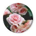 Pink Flowering Begonia Round Magnet
